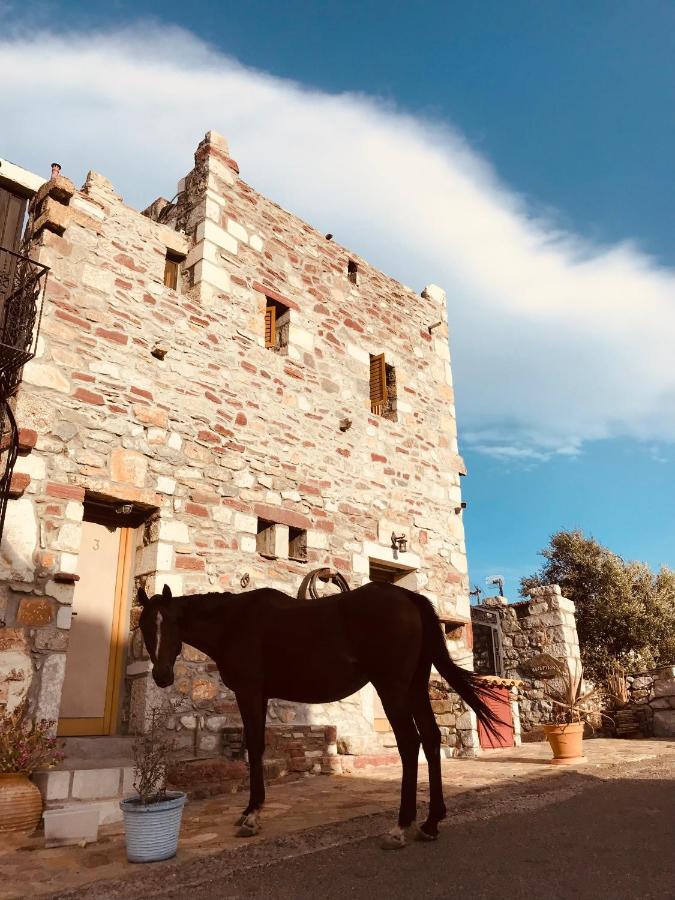 Castle Rizaraki Hotel Kokkala Exterior foto